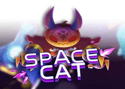 Space Cat