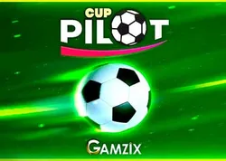 Pilot Cup