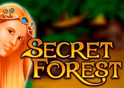 Secret Forest